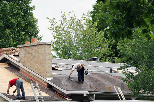 Best Roof Gutter Cleaning  in Mountain Home, NC